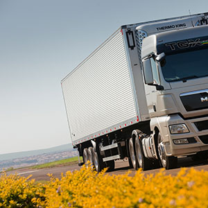 Seguros de transportes Sevilla